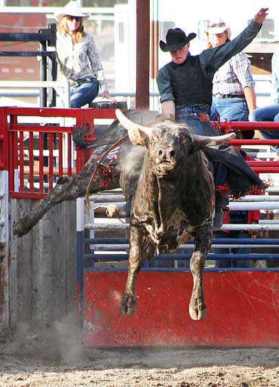 Exciting BCRA Rodeo Action