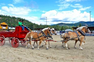 Heavey-Horse-team-driving-2015-Fall-Fair_web